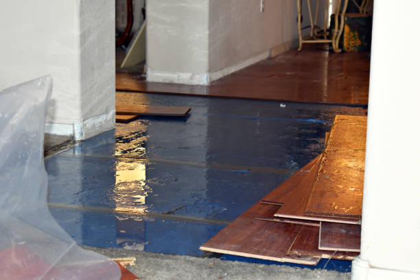 Professional Basement Flood Cleanup technician working in Nephi, UT
